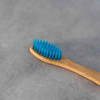 Cepillo de Dientes Bambú Dureza Media