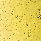 Aceite de Argán Eco