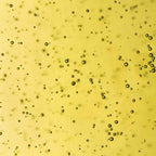 Aceite de Jojoba Golden Eco