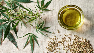 Aceite de Cáñamo: el omega que tu barrera necesita