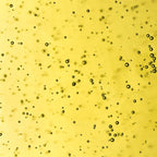 Oli de coco eco